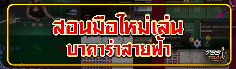 สอนมือใหม่เล่นบาคาร่าสายฟ้า