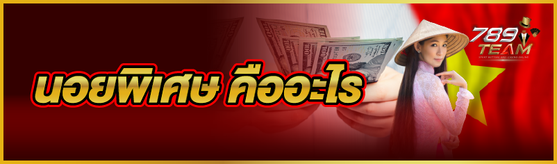 นอยพิเศษคืออะไร