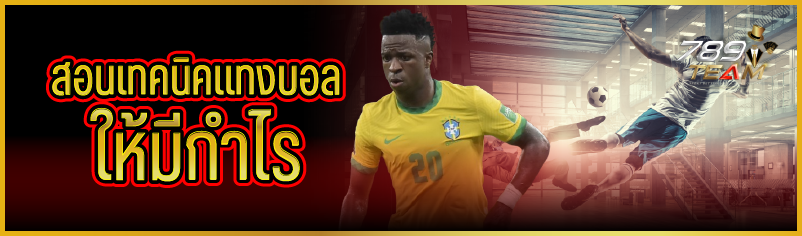 สอนเทคนิคแทงบอลให้มีกำไร 